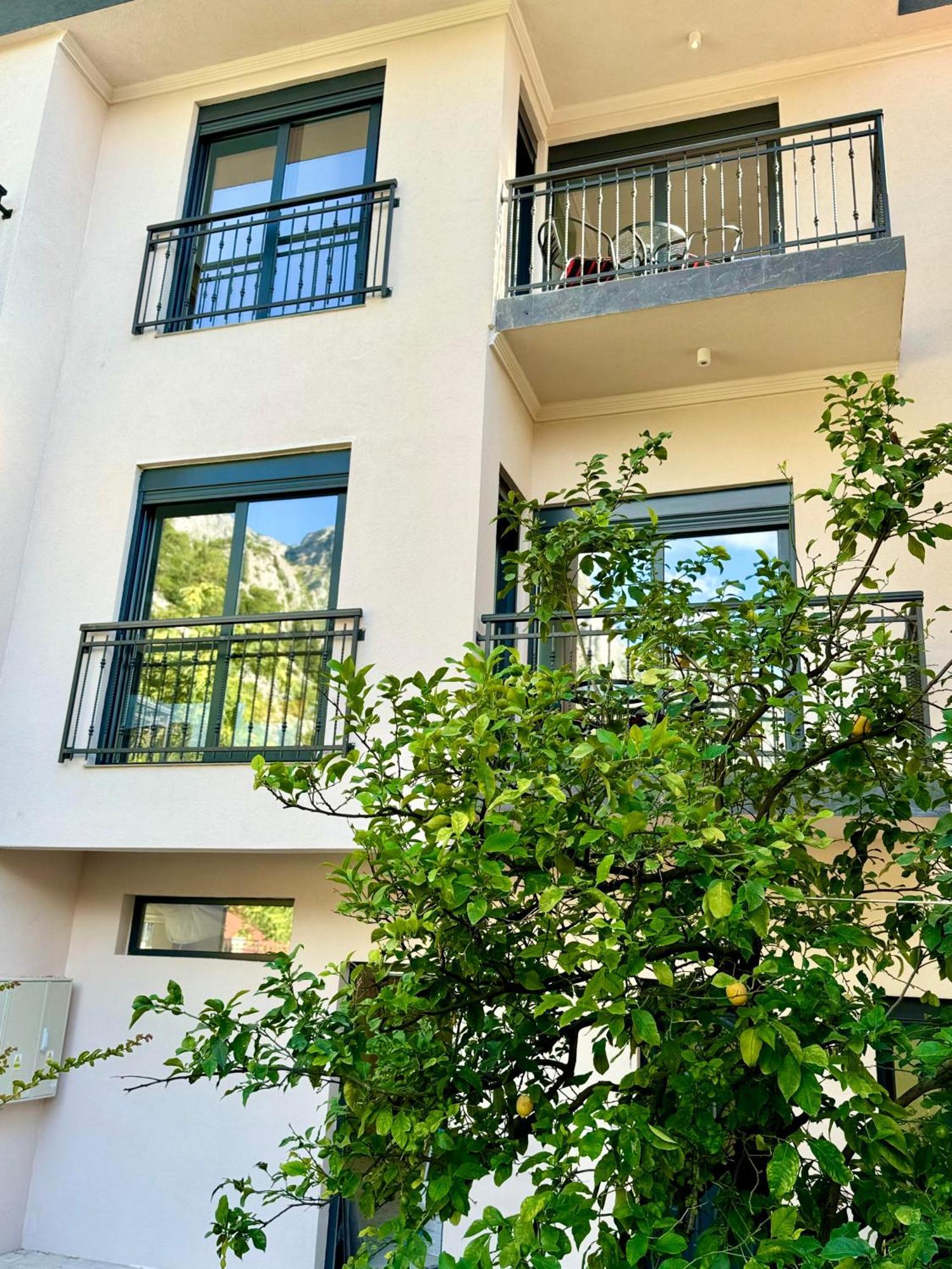 קוטור Harmony Garden Apartments מראה חיצוני תמונה